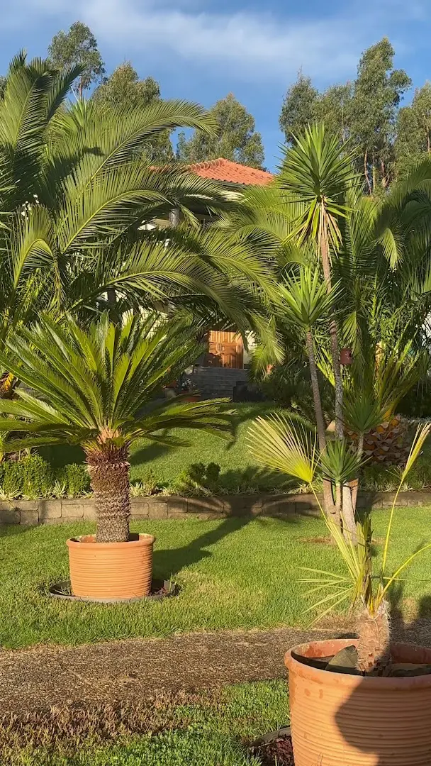 Homeoffice Madeira | CoWorking + CoLiving photo