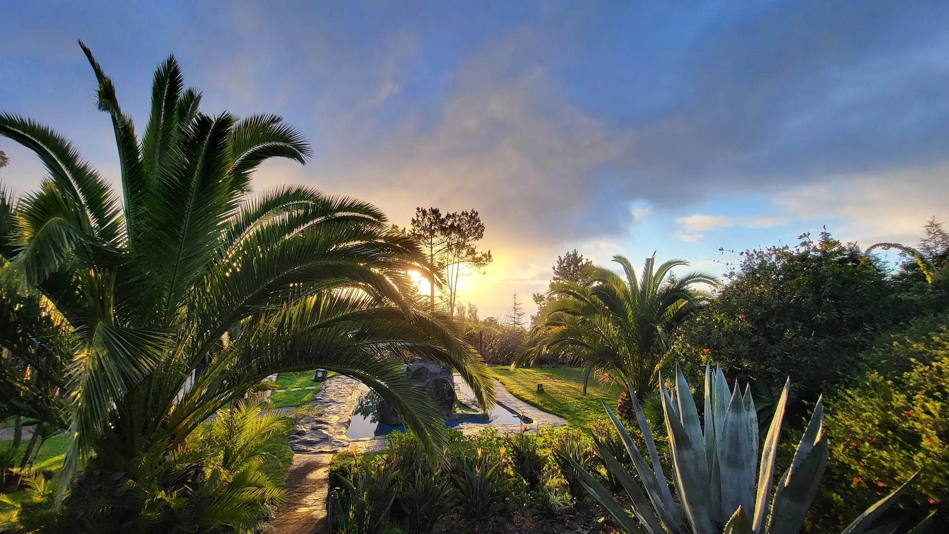 Homeoffice Madeira | CoWorking + CoLiving photo