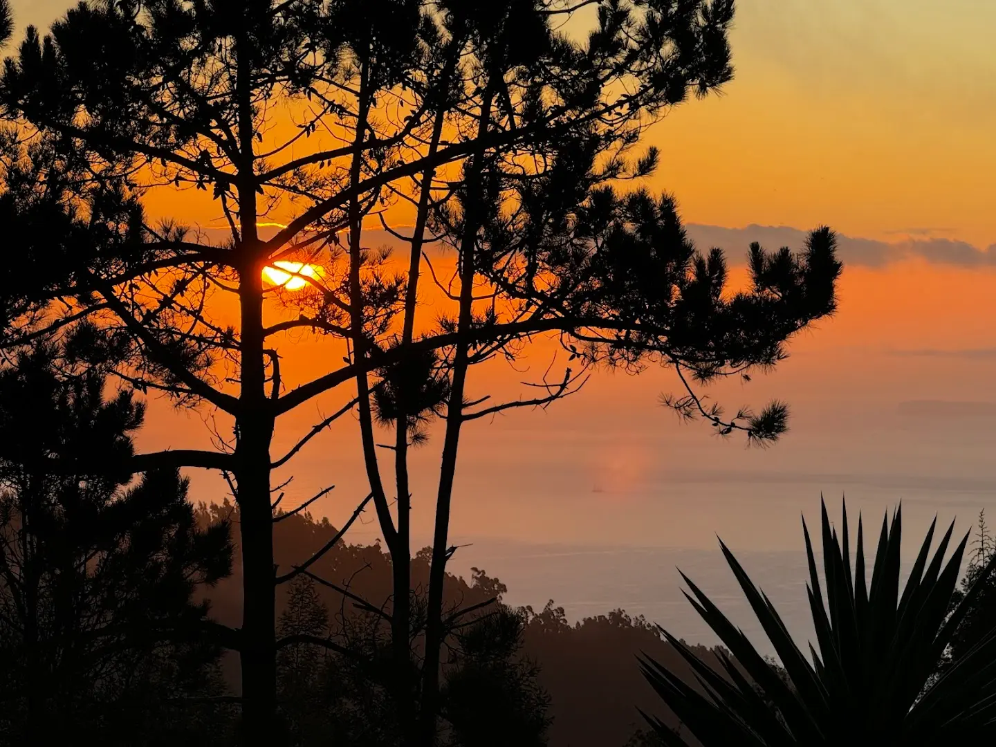 Homeoffice Madeira | CoWorking + CoLiving photo
