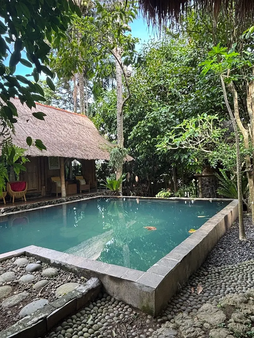 OmUnity Bali photo 27