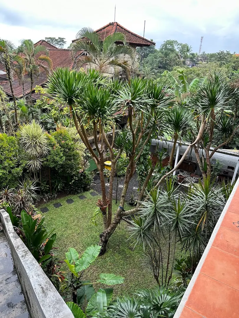 Outpost Ubud Coworking photo