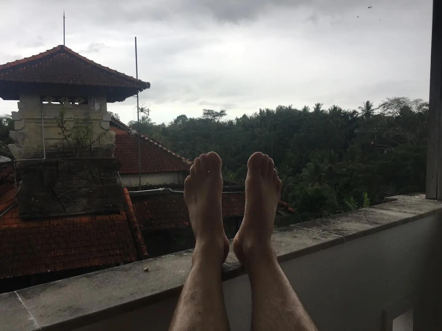 Outpost Ubud Coworking photo