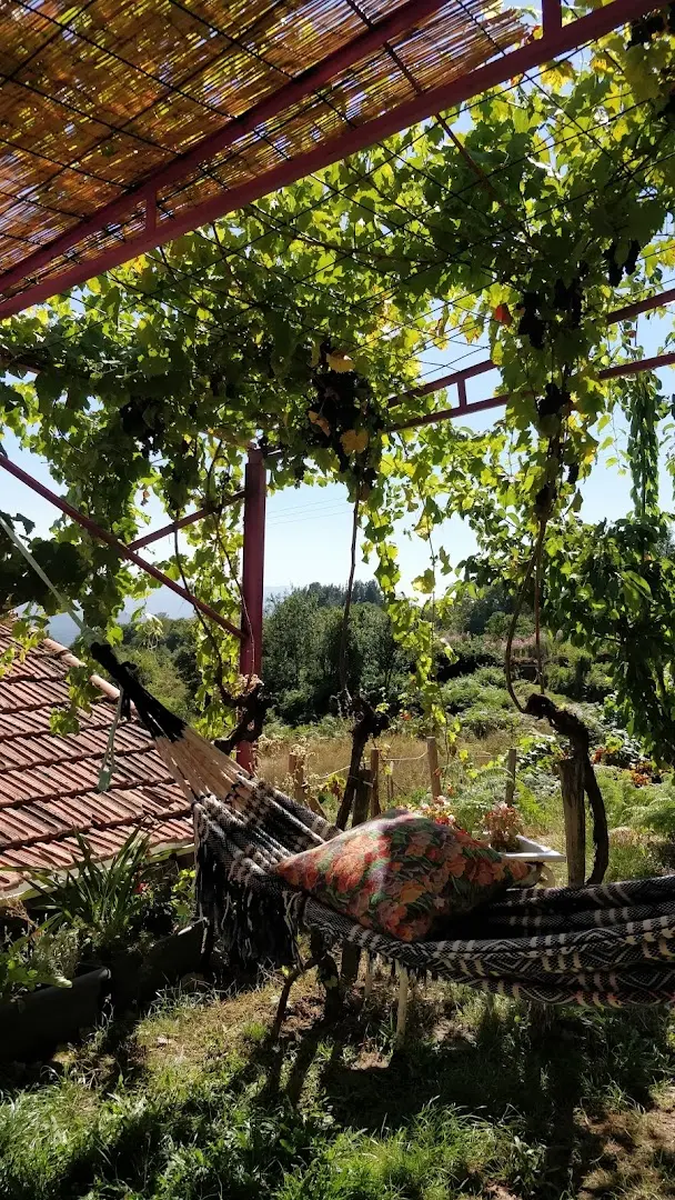sende senderiz coliving photo