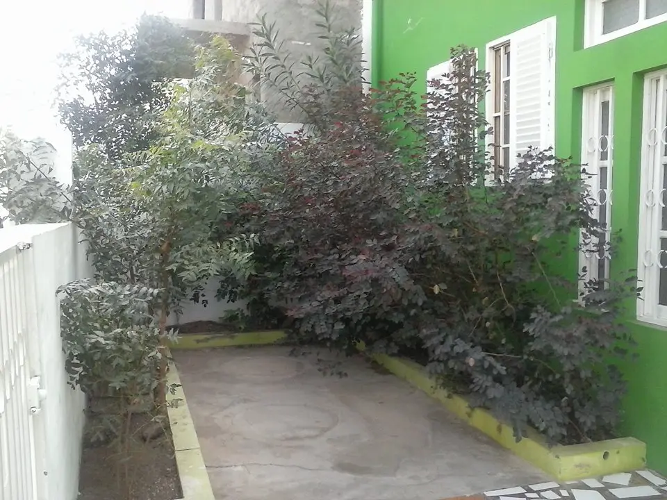 Simabo's Backpackers' Hostel photo