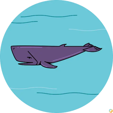 xwcwpl