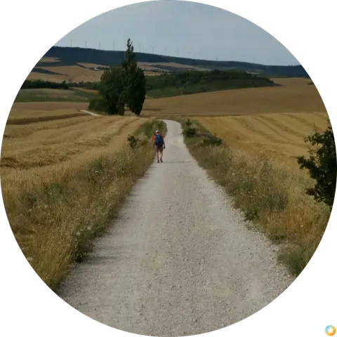 adriano strada
