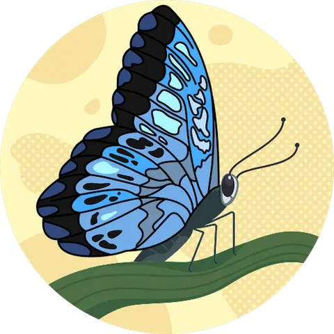 Vandana