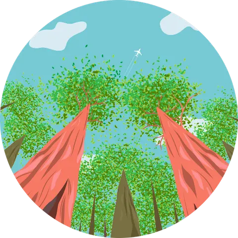 MT