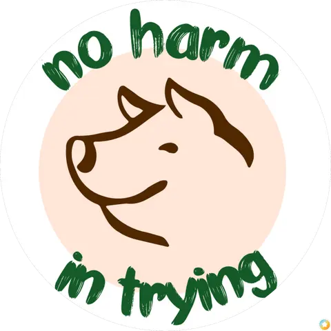 No Harm In Trying