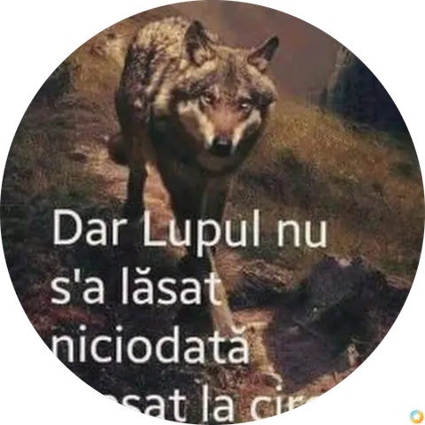 Ionut Porosnicu