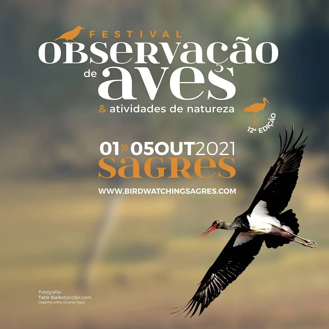 🌱 Inscreva-se já no festival mais apaixonado pela Natureza 🌸 1 a 5 outubro 🐋 Sagres 🐦

🌱 Register now for the Birdwatchi