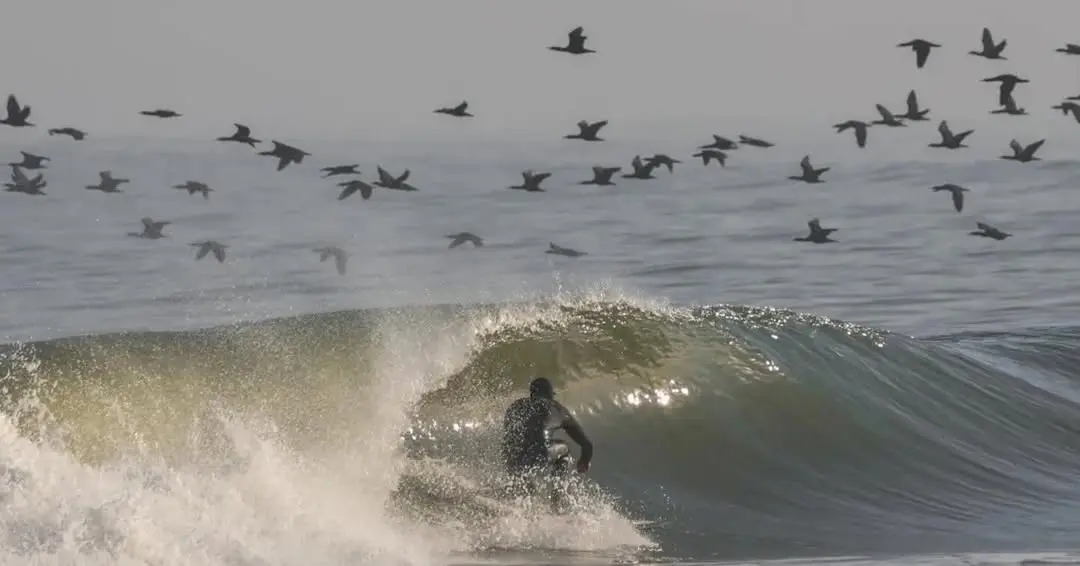 One of the longest barrels on the planet. Backed by desert dunes. Almost no one in the water. Welcome to the Skeleton Co