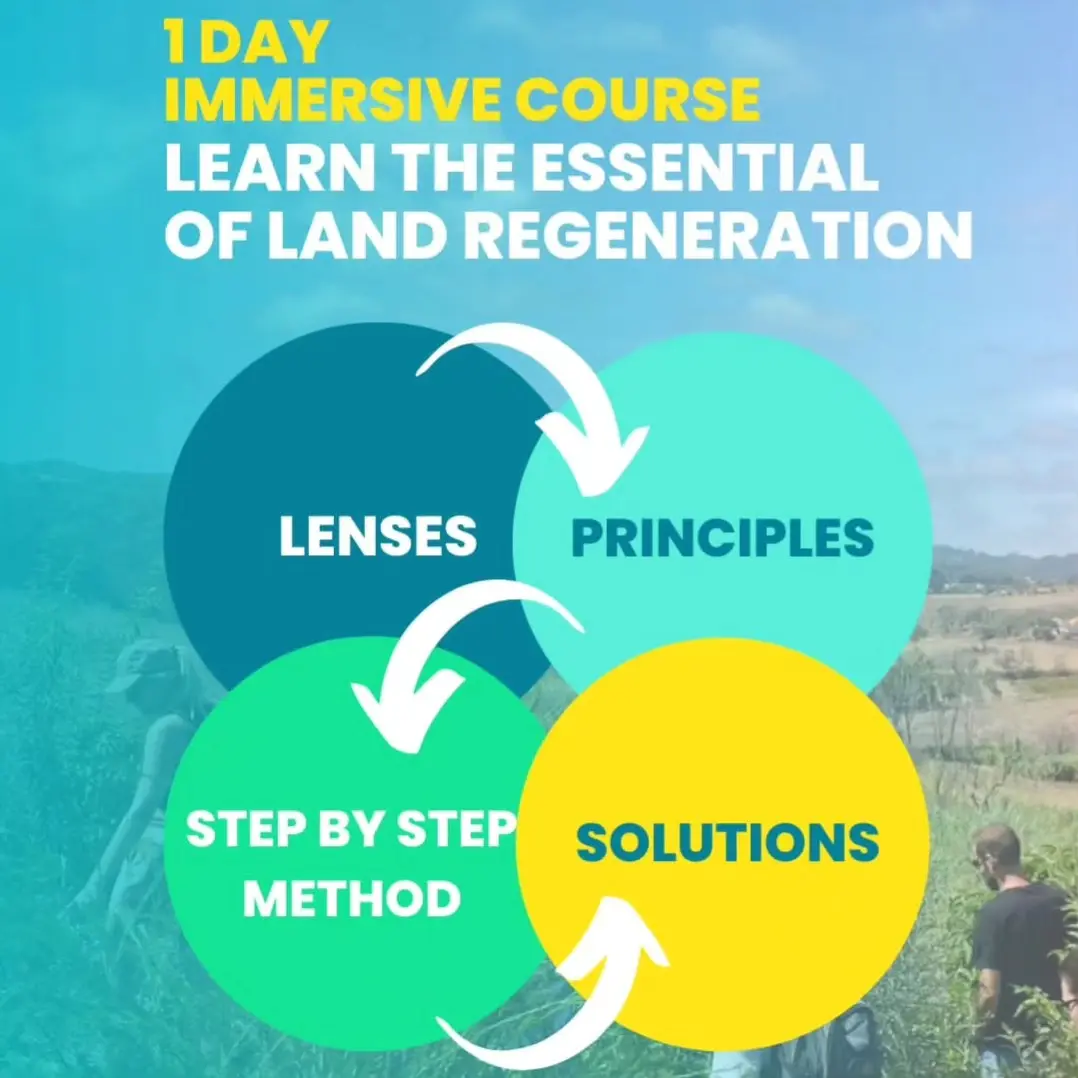 🎟️ This Saturday in Arrábida! Register @regenwaves
🌱 Dive into the world of land regeneration with this exclusive one-da