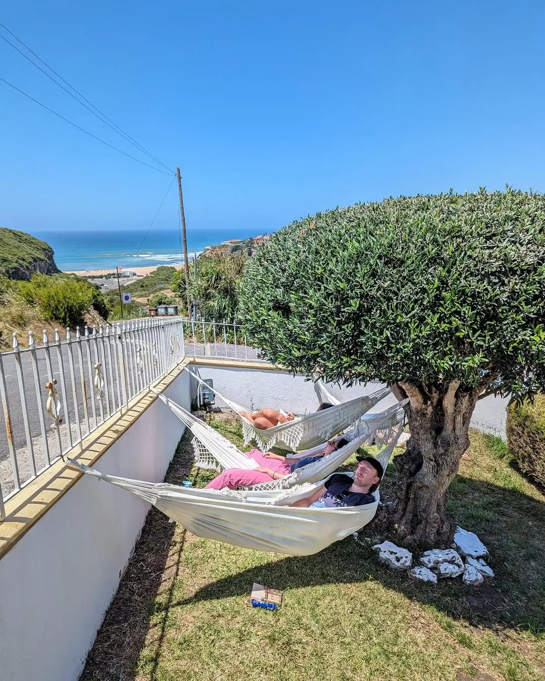 Under the olive tree Infront of the ocean 🌊